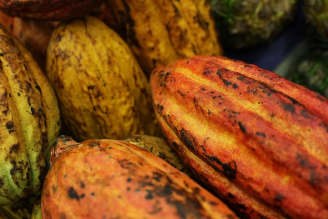 Bio Schokolade